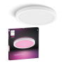 Philips Hue Devote Plafonnier Slim, S, 291 mm Rond, Blanc | White and Color Ambiance, Smart LED, 16,6 W, Variation Intensité Lum