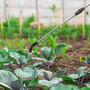 3 Plastique buses de pulvérisation, accessoires de pulvérisation d'irrigation de jardin,Accessoires De Remplacement De Pulvérisa