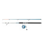 Mitchell Neuron SW II Ensemble Canne et Moulinet Boat | Ensemble pour la pêche en mer Depuis Un Bateau | Moulinet à 1+1 roulemen