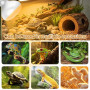 Ampoule Chauffante Terrarium 75W pour Tortue Serpent Lézard, 2 Pièces | Haute Qualité de Verre, Simule Lumière du Soleil, UVA Ch