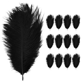 Anseom 12 Pièces Plumes d'Autruche Naturelles 20-25 cm pour Mariage, Couture, Artisanat, Costumes, Fête à Thème, Décoration de N