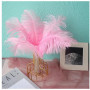 Anseom 12 Pièces Plumes d'Autruche Naturelles 20-25 cm pour Mariage, Couture, Artisanat, Costumes, Fête à Thème, Décoration de N
