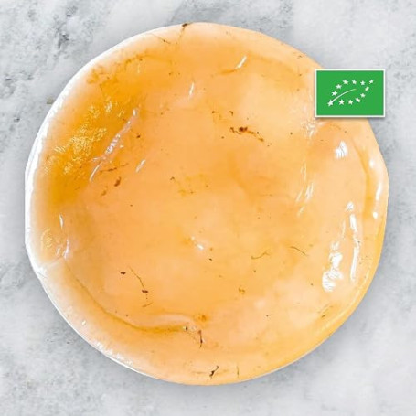 Mère de kombucha BIO - Fraîche - Réutilisable - Starter inclus - Controlée - Fabriquée en France - Recette complète incluse