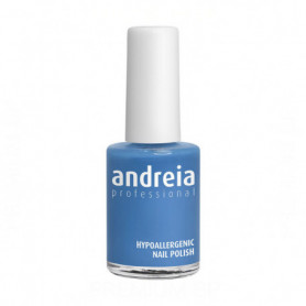 Vernis à ongles Andreia Professional Hypoallergenic Nº 06 (14 ml) 17,99 €