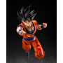 TAMASHII NATIONS - Dragon Ball Z - Son Goku (Le Saiyan au cœur pur) - Figurine d'action S.H.Figuarts