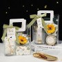 Mritrit Lot de 10 petits sacs cadeaux en PVC transparent avec poignées blanches, réutilisables, pour mariage, invités, fêtes, ca