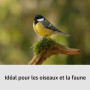 Sony Alpha 6700 Kit Wildlife (APS-C) 16-50 II & 70-350 mm | Autofocus IA, idéal pour la photo d’oiseaux, de safari, de nature, d