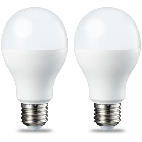 Amazon Basics Lot de 2 ampoules LED Culot Edison à vis E27 13 W (équivalent 100 W) Blanc froid Intensité non variable