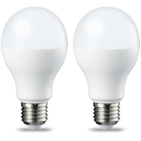 Amazon Basics Lot de 2 ampoules LED Culot Edison à vis E27 13 W (équivalent 100 W) Blanc froid Intensité non variable