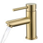 Mitigeur Lavabo en Acier Inoxydable Finition Or Brossé - Robinet Salle Bain | Robinet Lavabo avec Hauteur de Bec 79mm, Monocomma