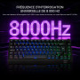 AKKO 5075 V5 HE Clavier Gaming Magnétique AZERTY ISO-FR, 8K, RT 0,001 mm | 75 % AZERTY molette,capteur Hall Effect,tri-mode,batt