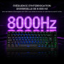 AKKO 5075 V5 HE Clavier Gaming Magnétique Filaire ISO-FR AZERTY,RT 0,001 mm | Clavier 75 % ISO-FR AZERTY, taux d'interrogation d