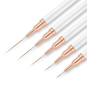 AYBUY Lot de 5 Pinceaux pour Nail Art, Pinceaux Liner de Détail | Pinceau Nail Art Ongles, Pour Gel, Les Lignes Longues, Détails
