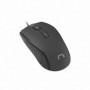 Souris Natec HOOPOE 2 Noir 1600 dpi 15,99 €