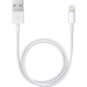 Apple Câble Lightning vers USB (0.5 m) 41,99 €