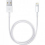 Apple Câble Lightning vers USB (0.5 m) 34,99 €