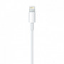 Apple Câble Lightning vers USB (0.5 m) 34,99 €