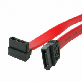 Câble SATA Startech SATA18RA1 13,99 €