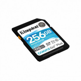 Carte Mémoire SD Kingston SDG3/256GB 256GB 256 GB 47,99 €