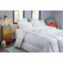 BLANREVE Couette tres chaude Percale - Anti-acariens - 420g/m² - 220x240cm 138,99 €