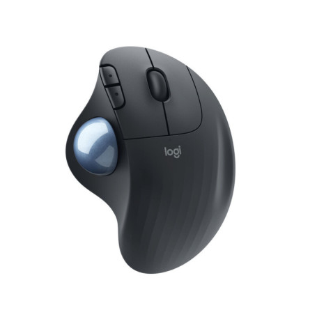 Souris Logitech 910-006221 2000 dpi 93,99 €