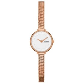 Montre Femme Skagen GITTE LILLE (Ø 22 mm) 109,99 €