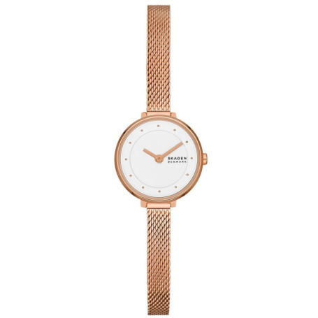 Montre Femme Skagen GITTE LILLE (Ø 22 mm) 109,99 €