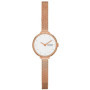 Montre Femme Skagen GITTE LILLE (Ø 22 mm) 109,99 €