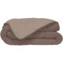 HUDSON Couette légere Microfibre 200g/m² 220x240cm Taupe & Lin 66,99 €