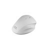 Souris Mars Gaming MMWERGO Ratón Inalámbrico Ergonómico Blanco 3200 DPI 24,99 €